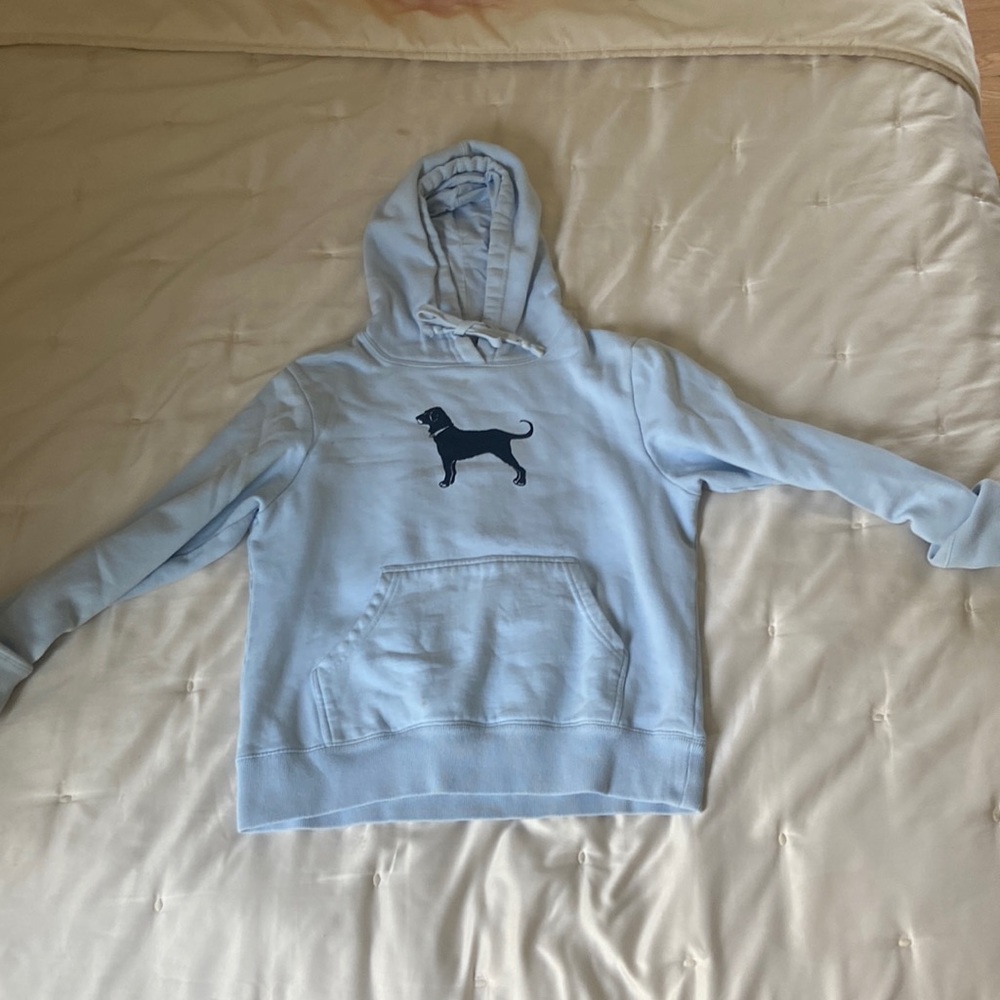 Black dog light blue hoodie